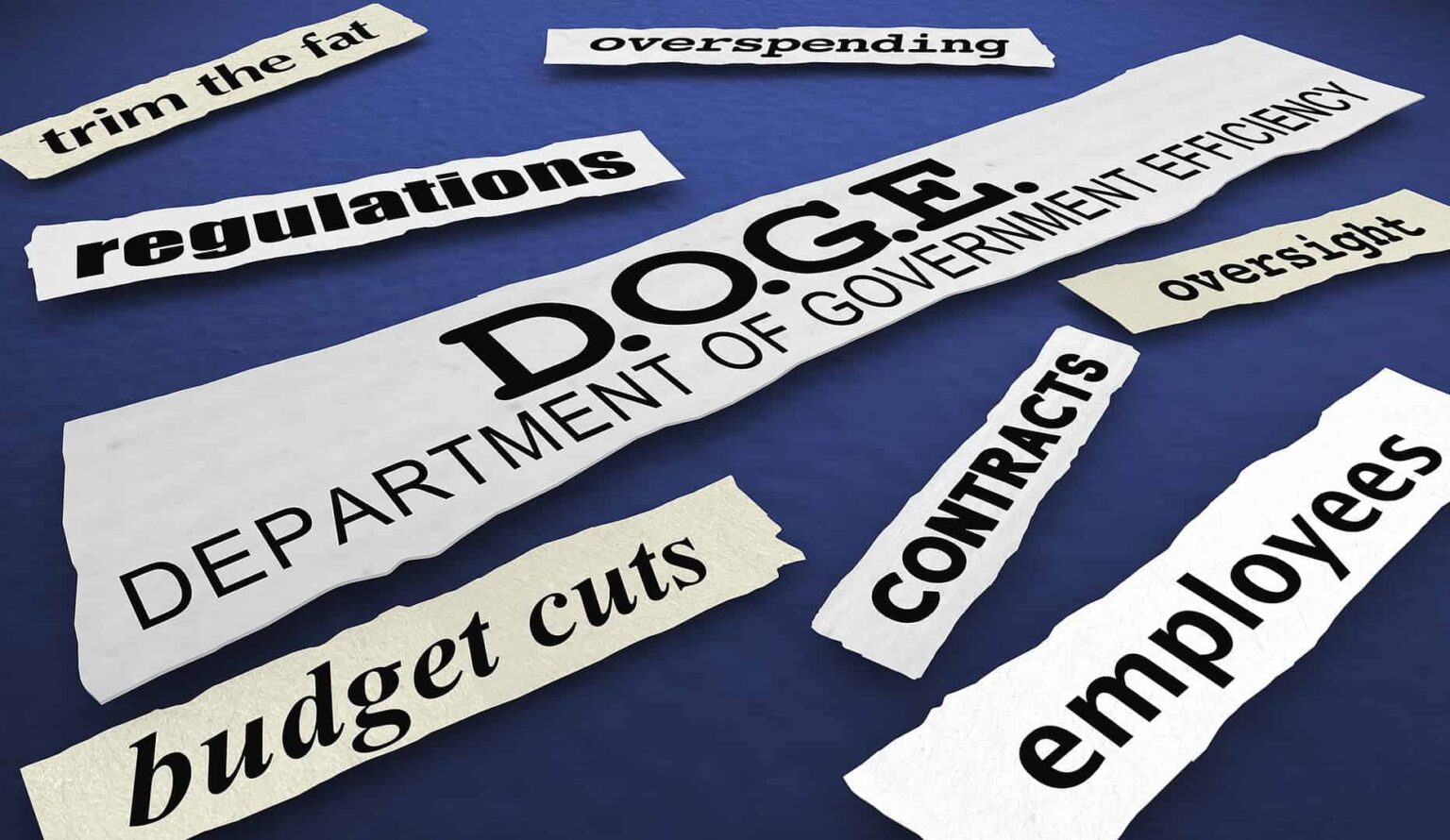 DOGE agency Musk 1862x1080 1