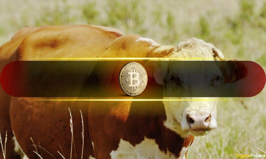 3 Signs Bitcoin’s Price Waver is the Start of Something Big (Op-Ed) Bitcoin Bull