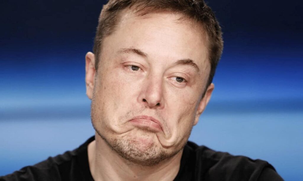 ElonMusk 1