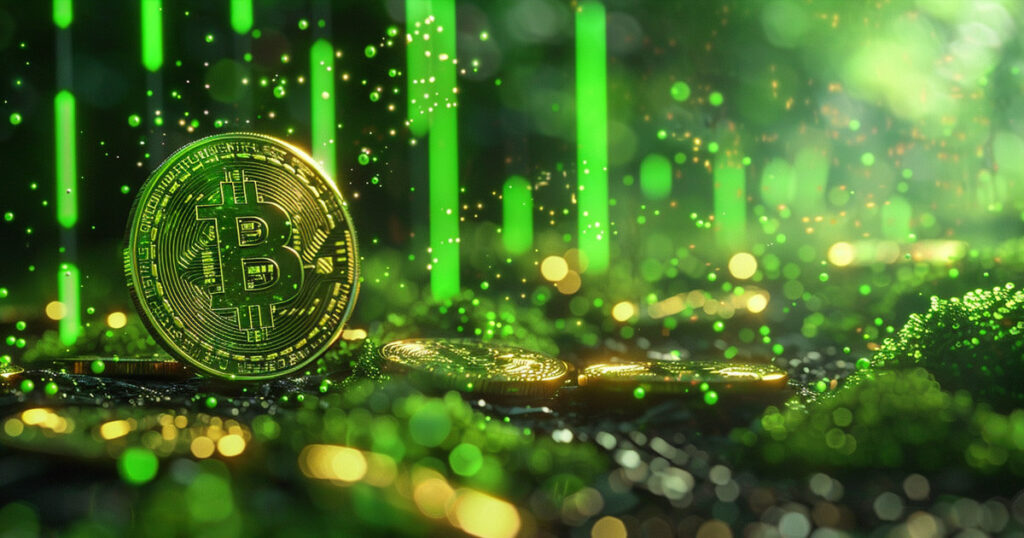 bitcoin pullback bull