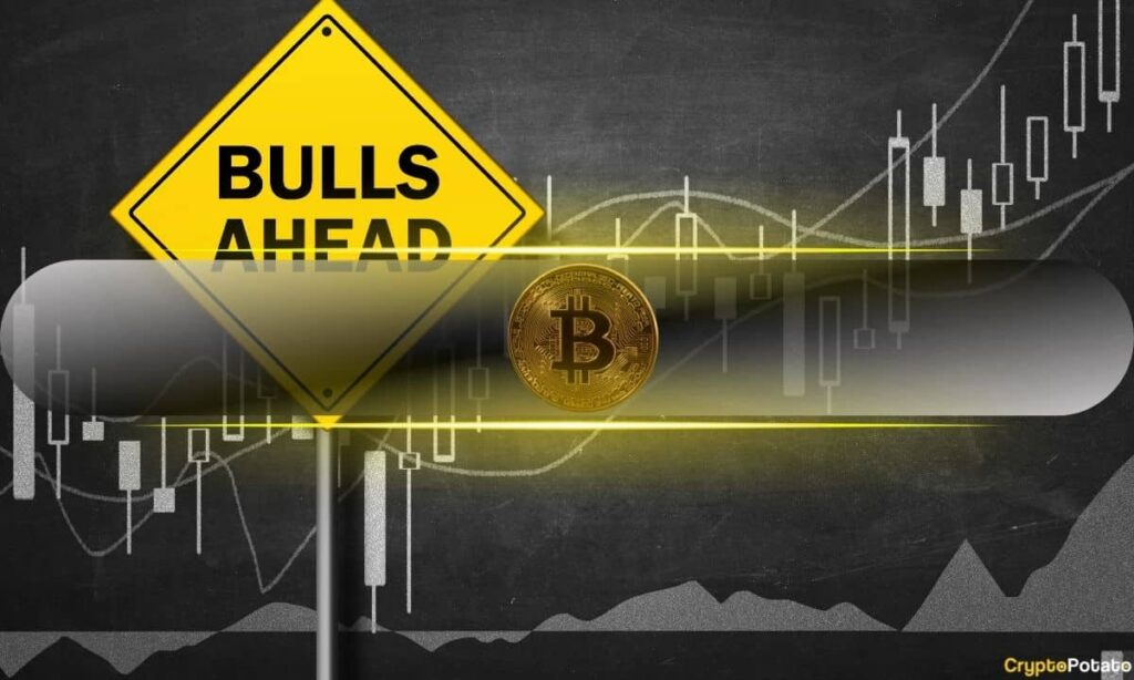 Expert Sees Bullish Signals in Miner Data Bitcoin Bullish