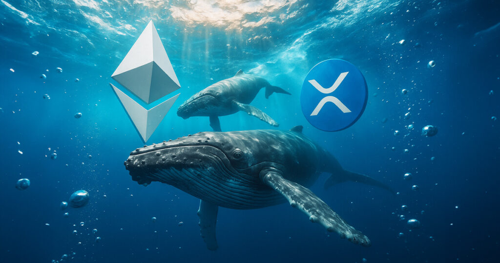 ethereum xrp whale