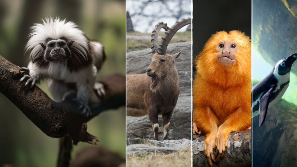 Terria Clay Collage social.width 1300