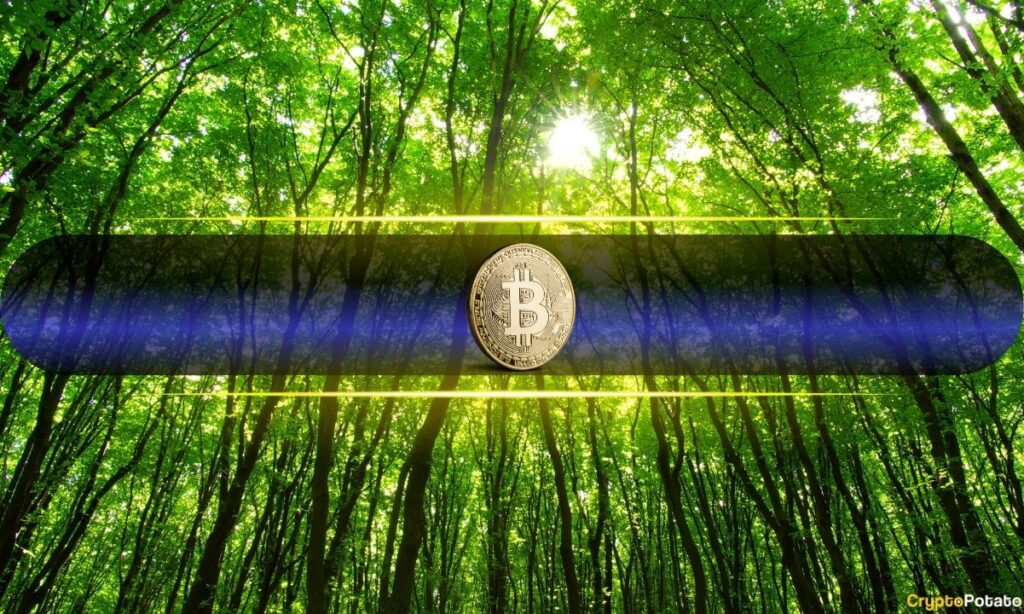 bitcoin green cover