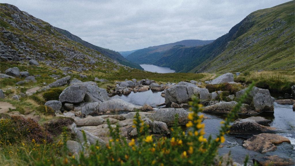 water social.width 1300