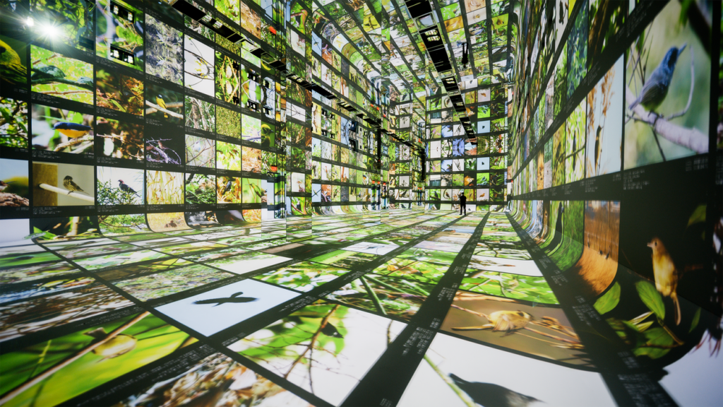 Google is powering Dataland, the first museum of AI arts Gallery A Data Pavilion.width 1300