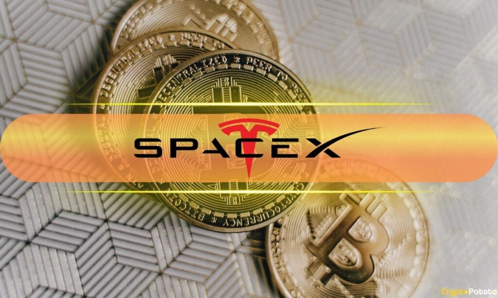 SpaceX Tesla