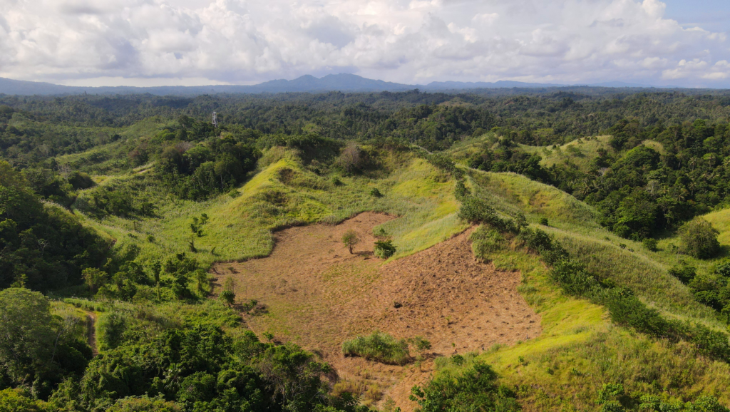 Google supports Thryve.Earth agroforestry efforts Thryve Symbiosis herosocial.max 1440x810
