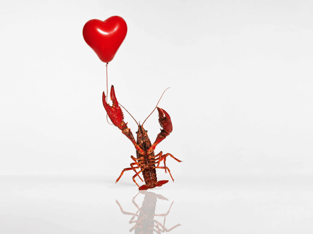 openclaw dating