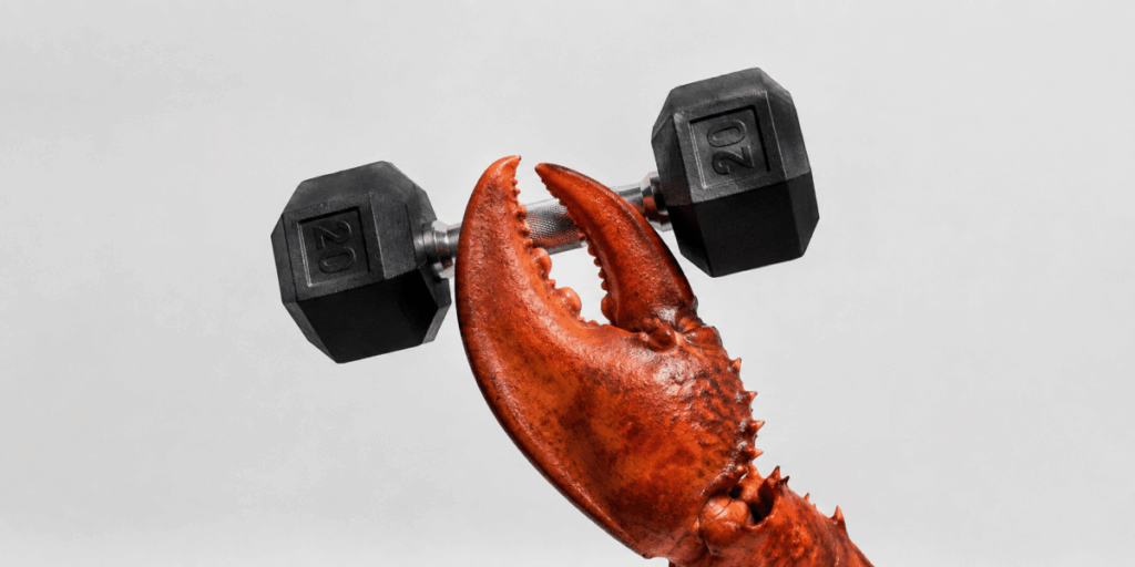Claw weight