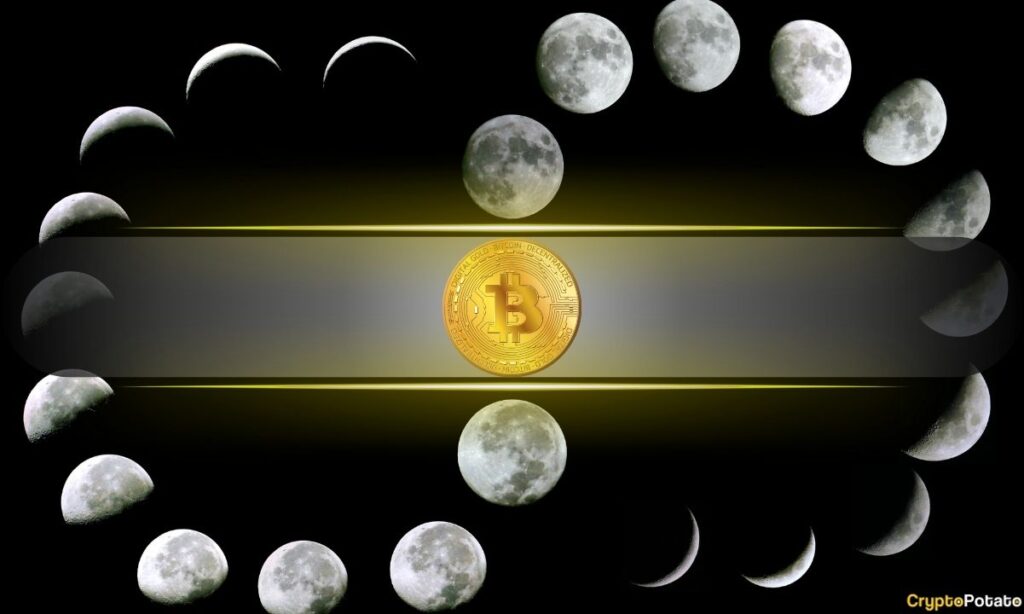 Willy Woo Reveals What Could Replace It Bitcoin Cycle