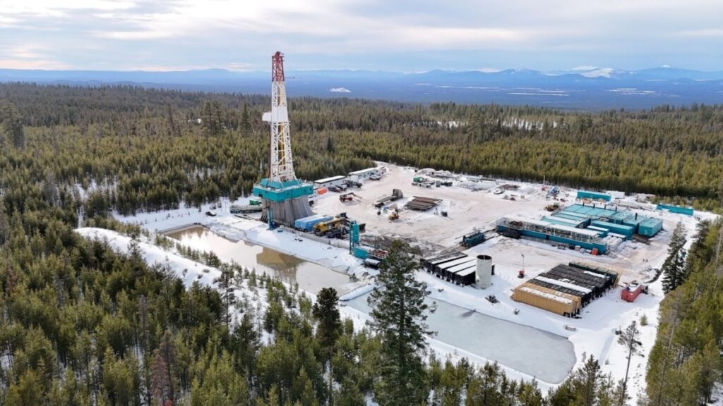 Mazama oregon
