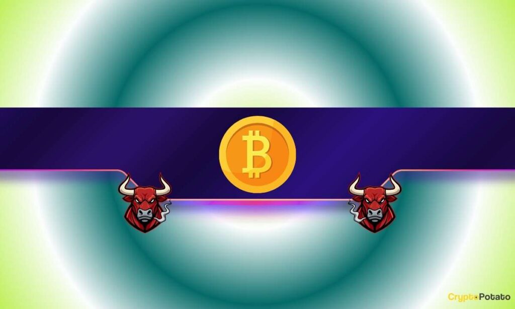 BTC CB 29
