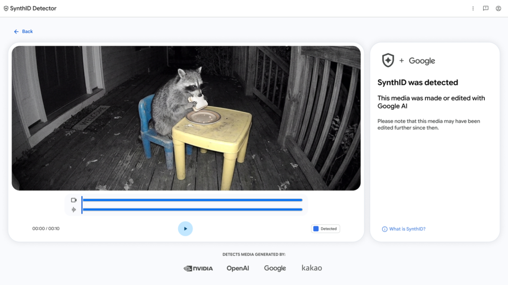 Raccoon Video SynthIDDetector.max 1440x810