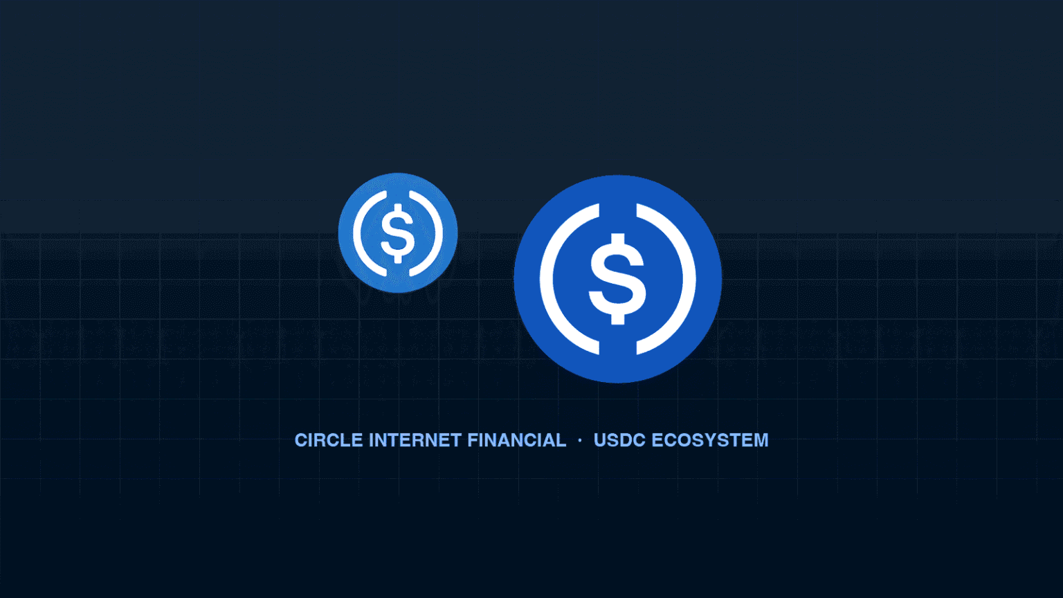 USDC Rebates And Restricted Funding newsbtc N03